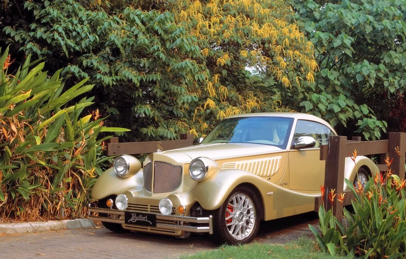 Photo wallpaper greens, color, form, the bridge, rarity, Bufori