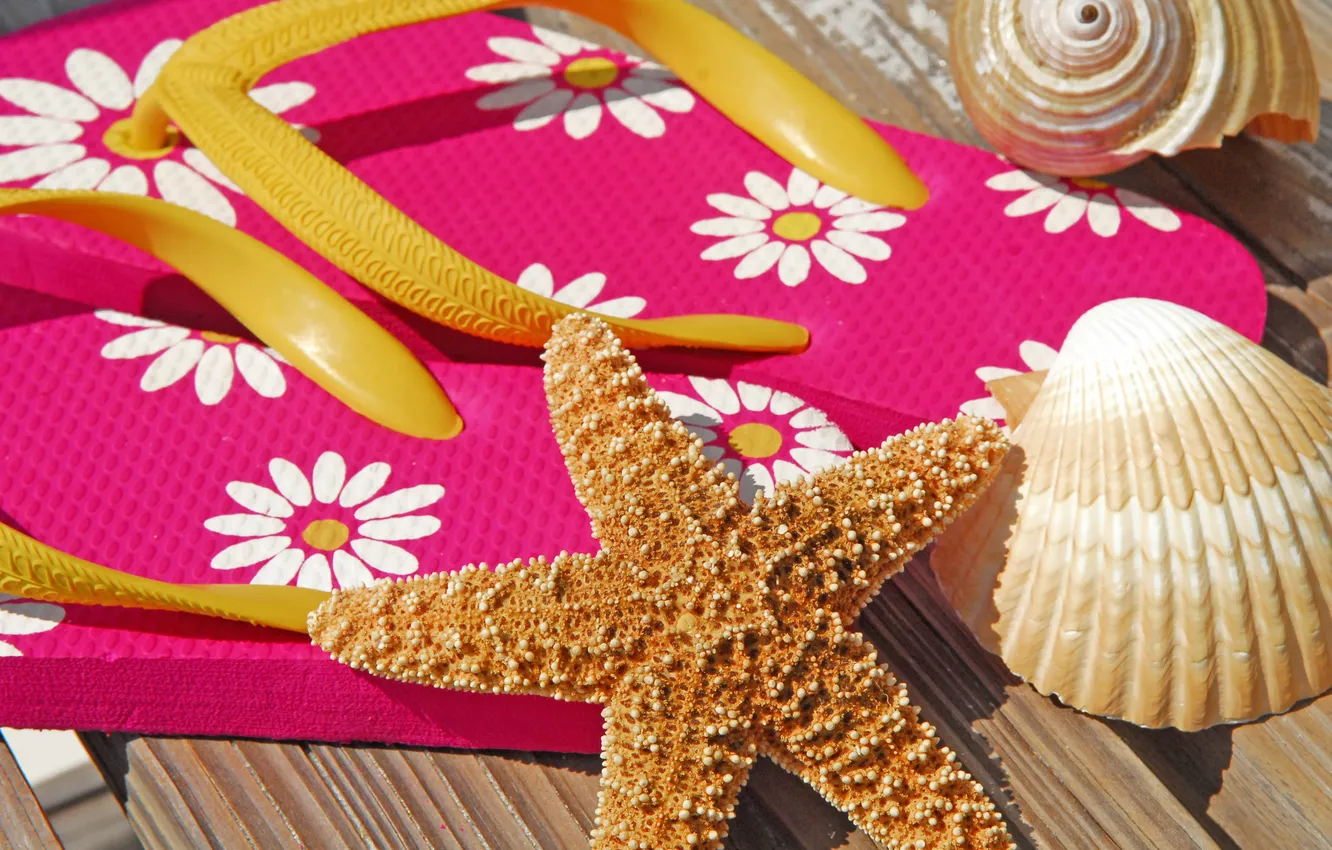 Photo wallpaper summer, stay, shell, summer, beach, slates, vacation, accessories