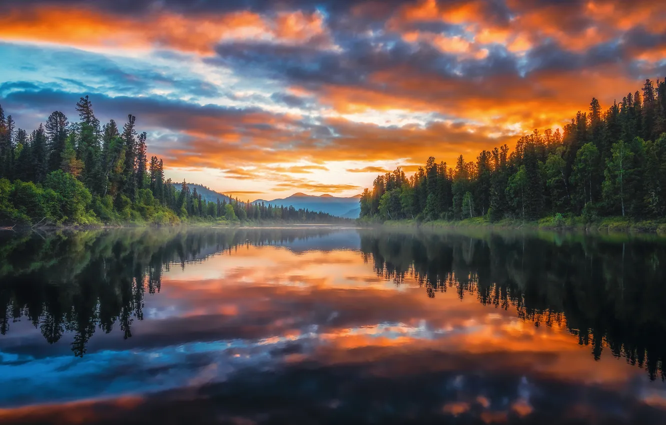 Photo wallpaper forest, landscape, reflection, river, dawn