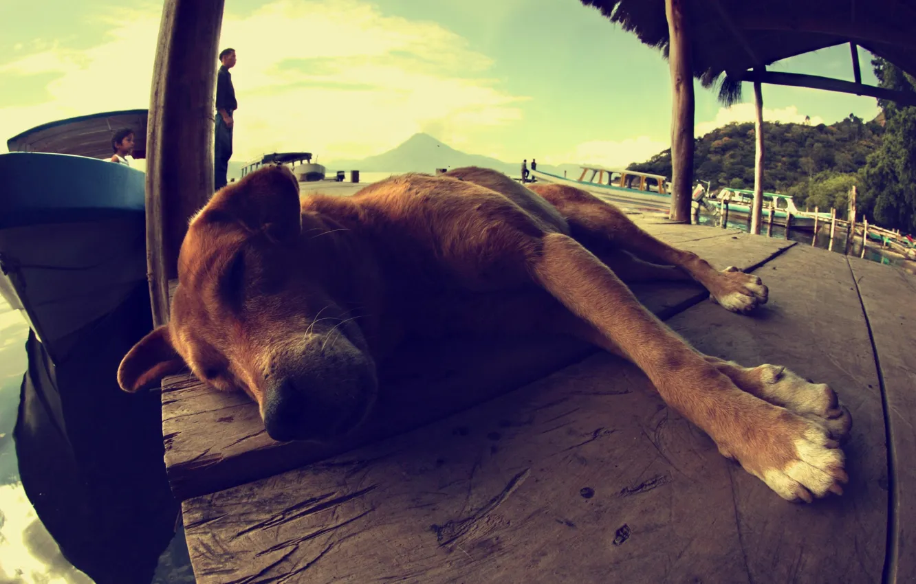 Photo wallpaper landscape, people, boat, dog, dog, sleeping, lies, Guatemala