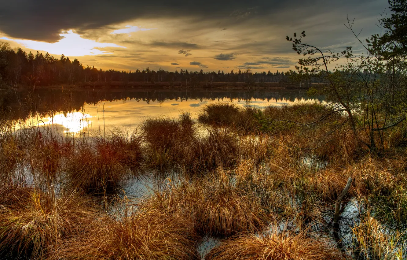 Photo wallpaper landscape, sunset, nature, river, photo, dawn