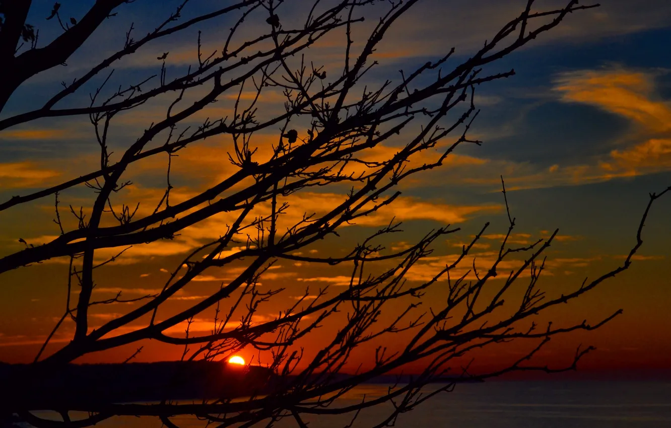 Photo wallpaper sea, Kaliningrad, svetlogorsk