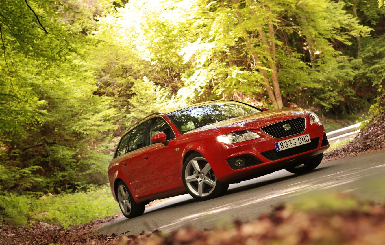 Photo wallpaper road, forest, trees, machine, forest, seat, seat exeo st
