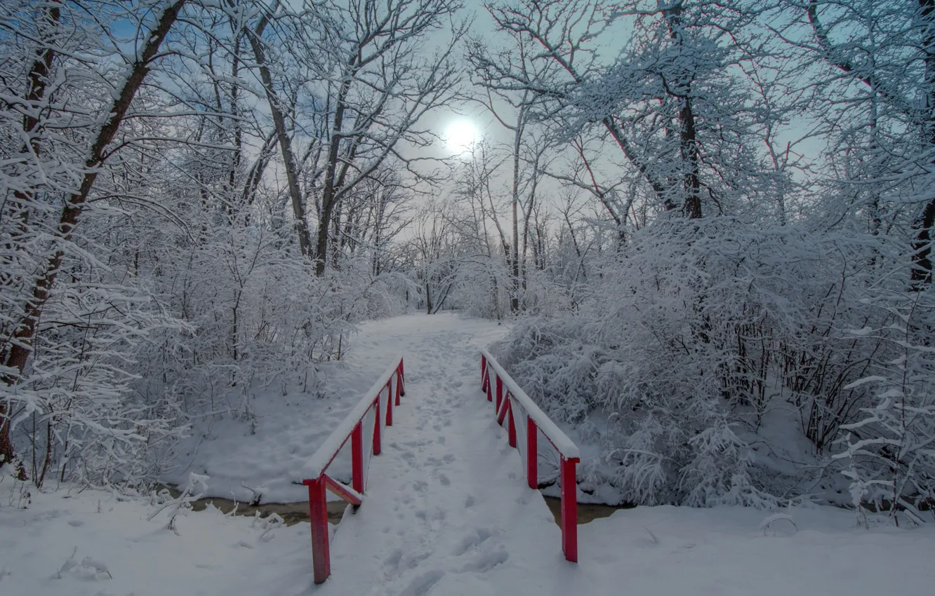 Photo wallpaper winter, snow, trees, Park, the bridge