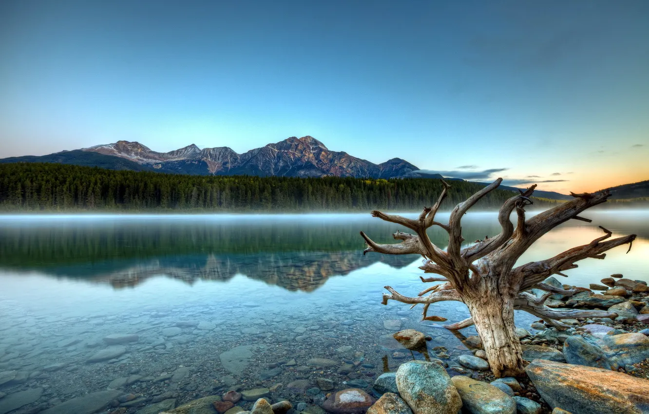 Photo wallpaper mountains, fog, Patricia Lake