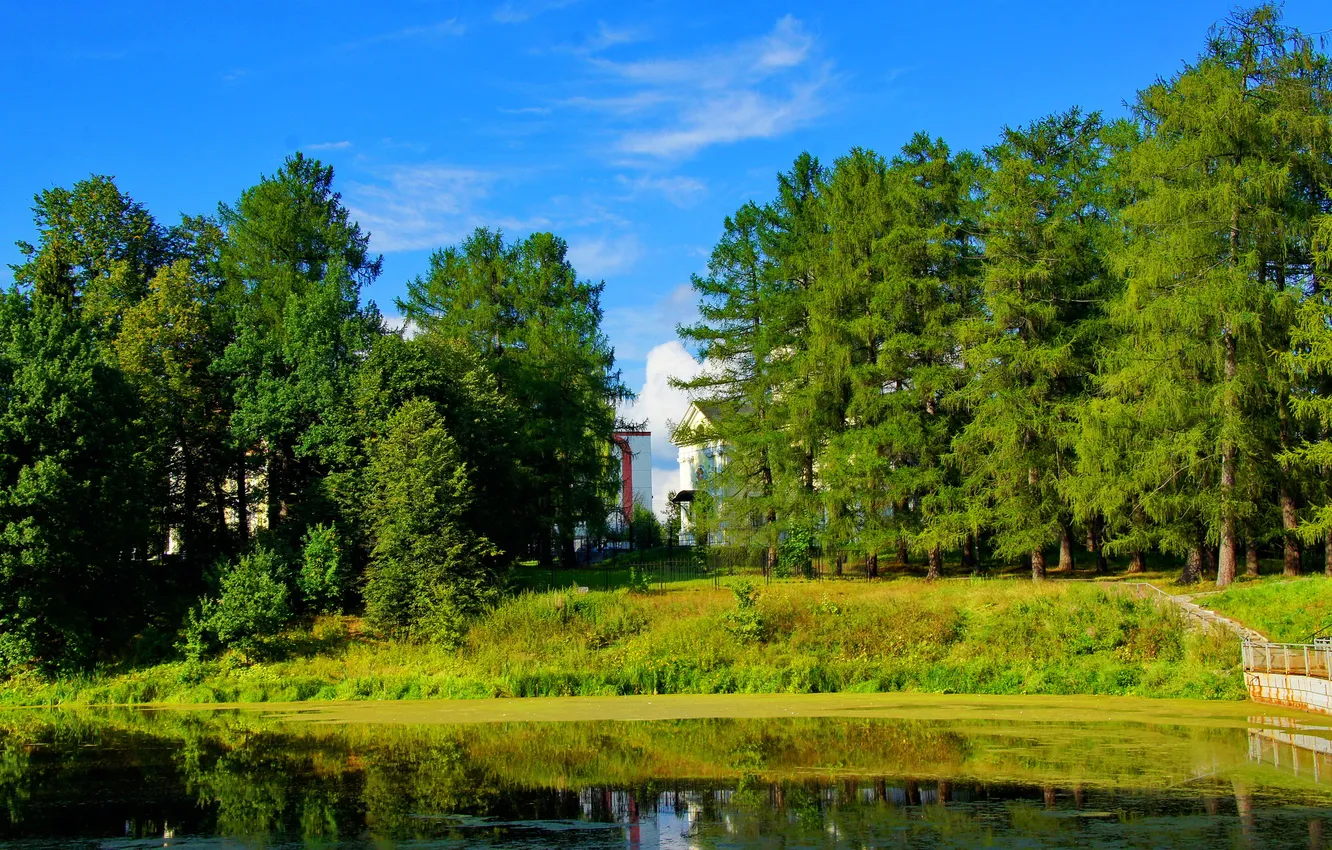 Photo wallpaper trees, nature, Park, river, photo, estate, the suburbs, Marfino