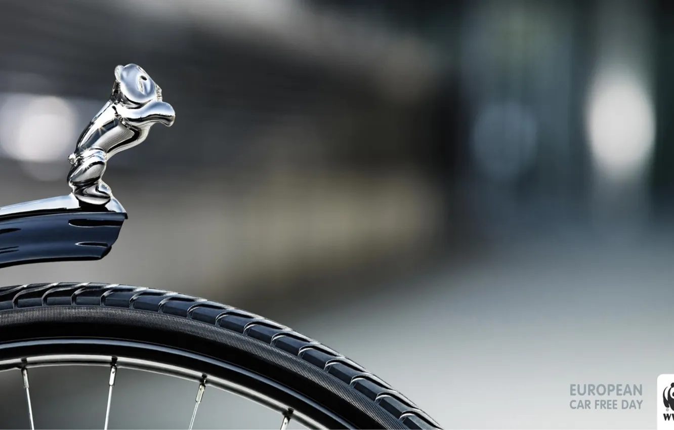 Photo wallpaper protection, wheel, Panda, spokes, WWF