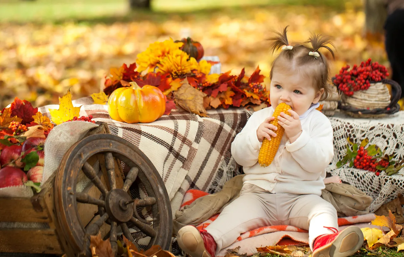 Photo wallpaper autumn, Park, child, corn, girl, pumpkin