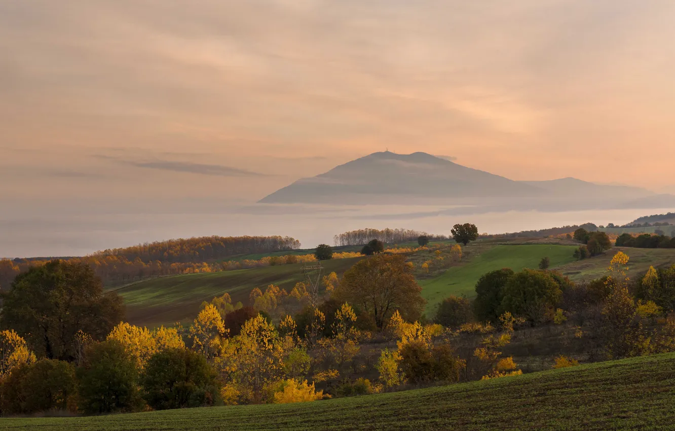 Photo wallpaper field, autumn, forest, the sky, clouds, trees, mountains, fog