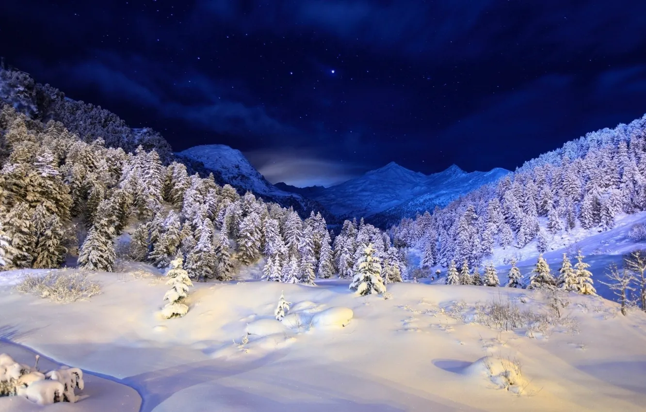 Photo wallpaper winter, forest, snow, mountains, stars, tree
