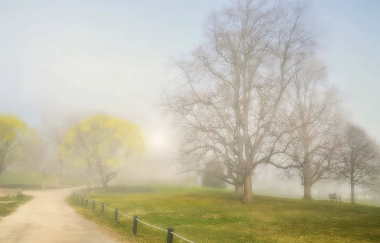 Photo wallpaper road, landscape, fog, Park