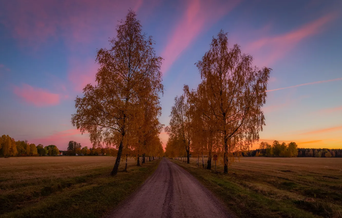 Photo wallpaper road, field, autumn, the sky, clouds, trees, landscape, sunset
