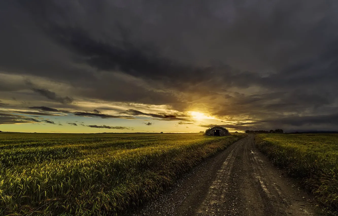 Photo wallpaper road, field, sunset