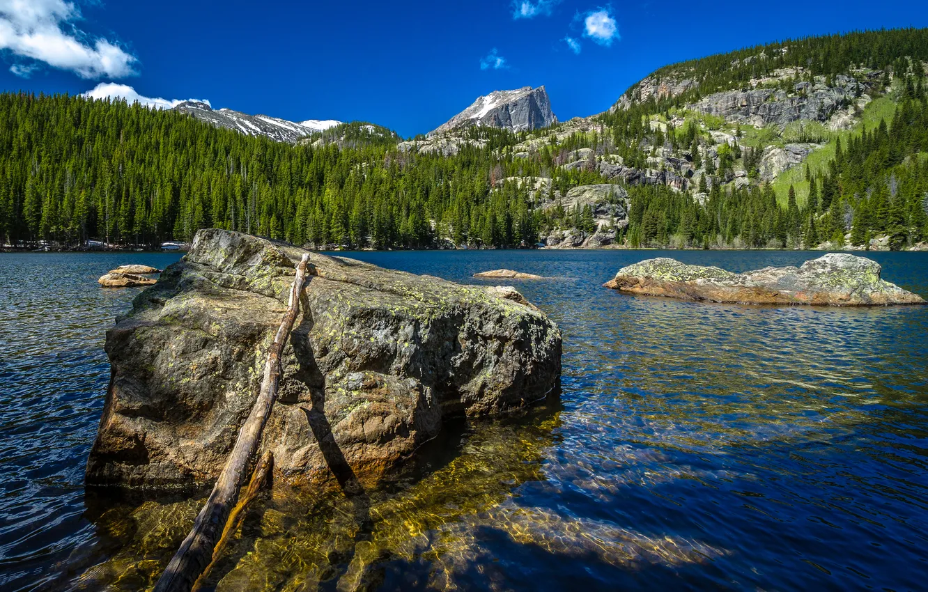 Photo wallpaper forest, trees, mountains, lake, stones