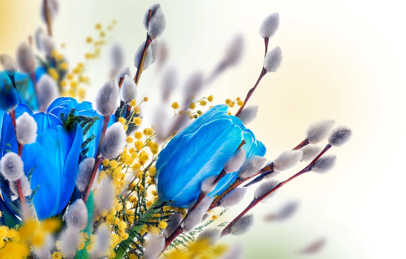 Photo wallpaper flowers, spring, tulips, Verba, flowers, tulips, spring, willow twig