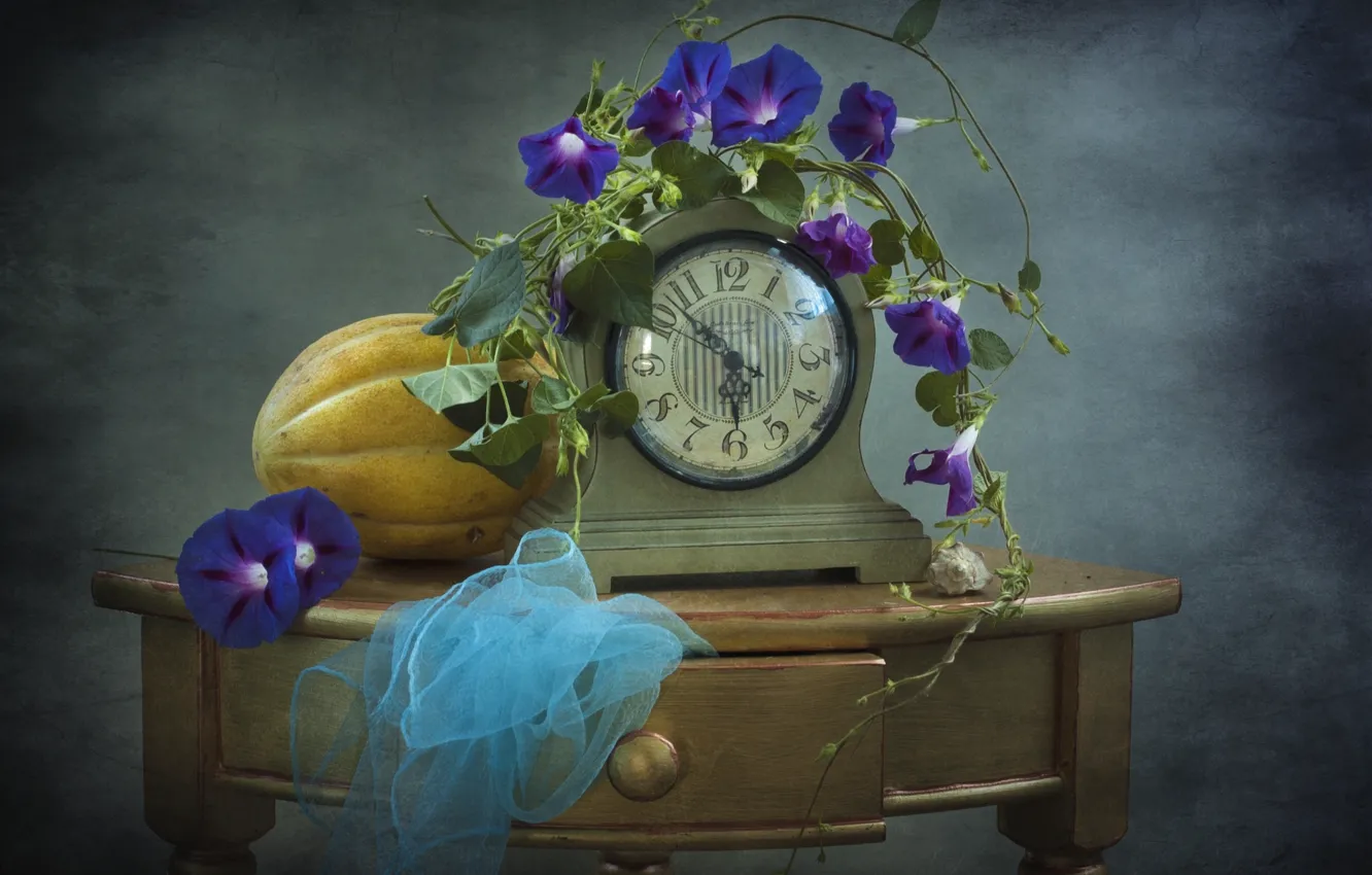 Photo wallpaper watch, texture, fabric, melon, morning glory