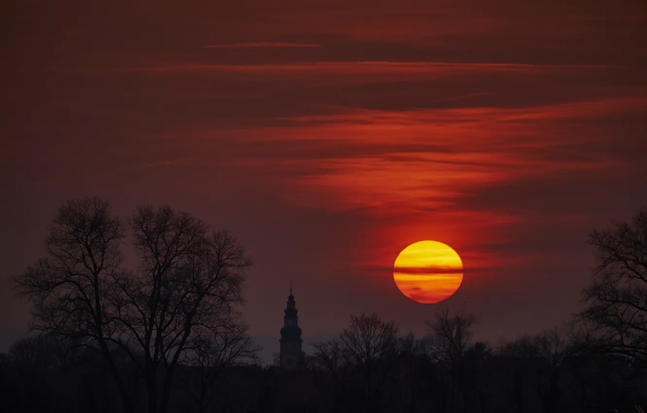 Photo wallpaper forest, the sky, the sun, trees, sunset, red, glade, the evening