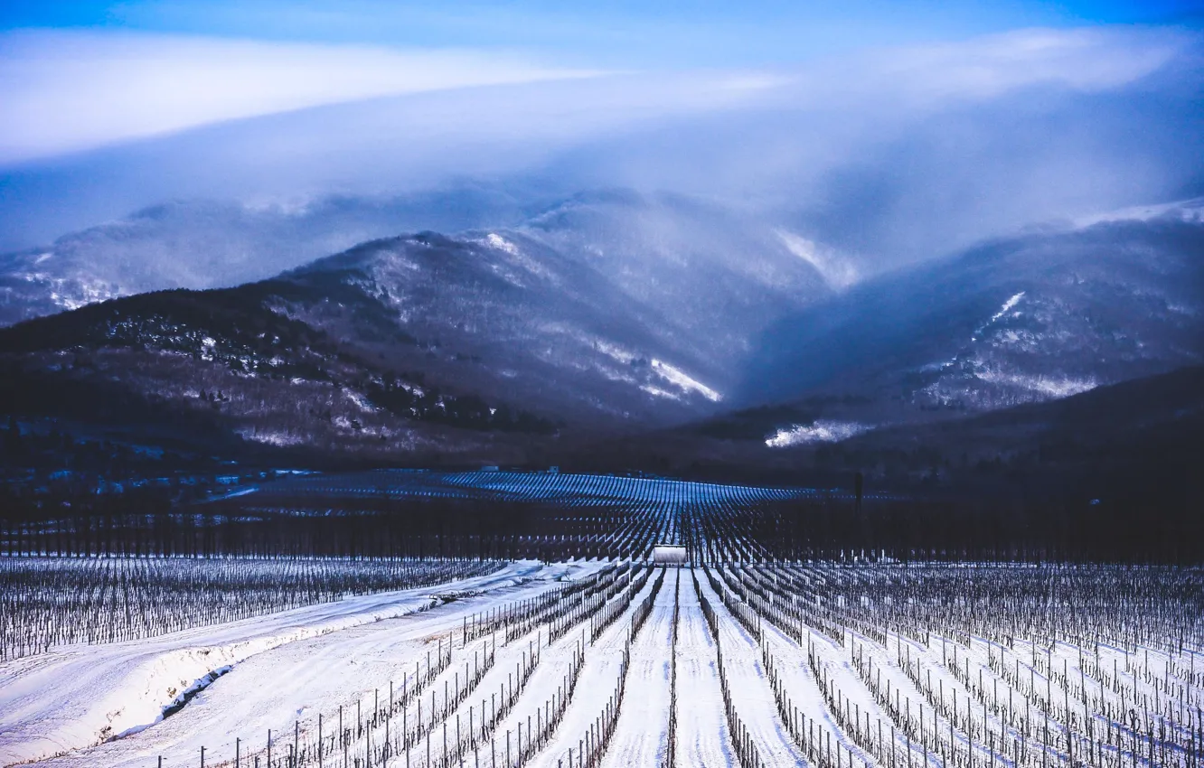 Photo wallpaper winter, clouds, snow, mountains, fog, vineyard, a number