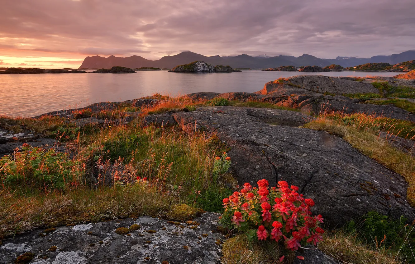 Photo wallpaper grass, sunset, flowers, mountains, stones, shore, dal, the evening