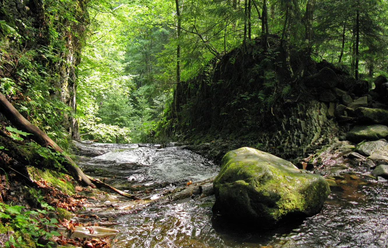 Photo wallpaper summer, stream, stone, moss, Forest