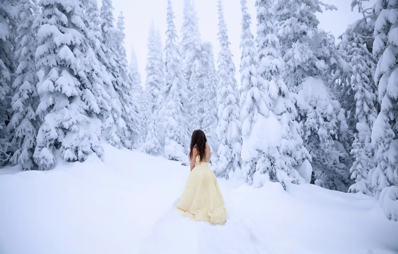 Photo wallpaper cold, forest, girl, snow, dress, Lichon