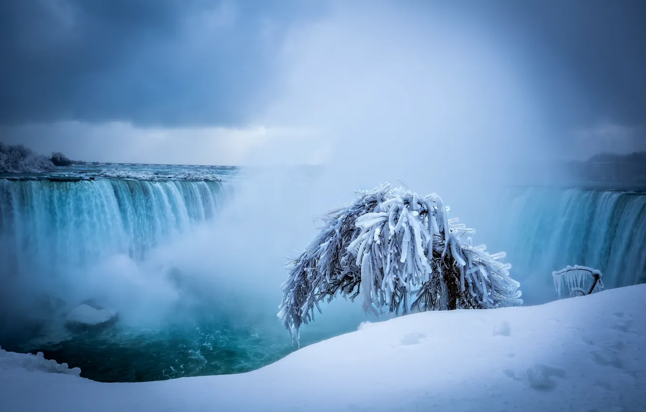Photo wallpaper winter, snow, tree, waterfall, Niagara falls, Niagara Falls