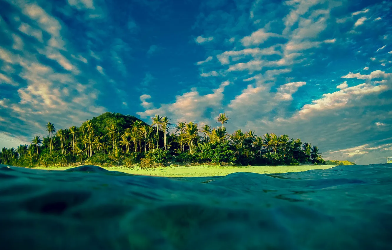 Photo wallpaper palm trees, the ocean, island