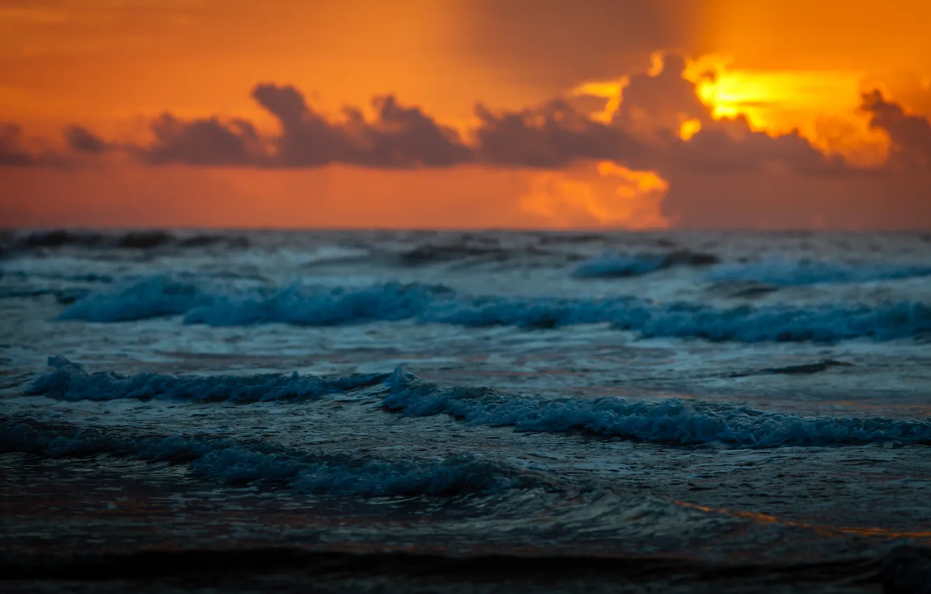 Photo wallpaper the ocean, dawn, USA, San Jacinto, Galveston
