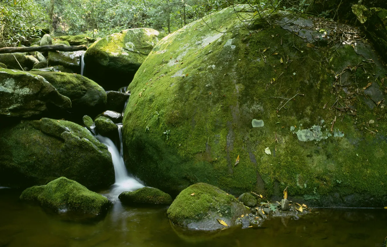 Photo wallpaper stones, waterfall, moss