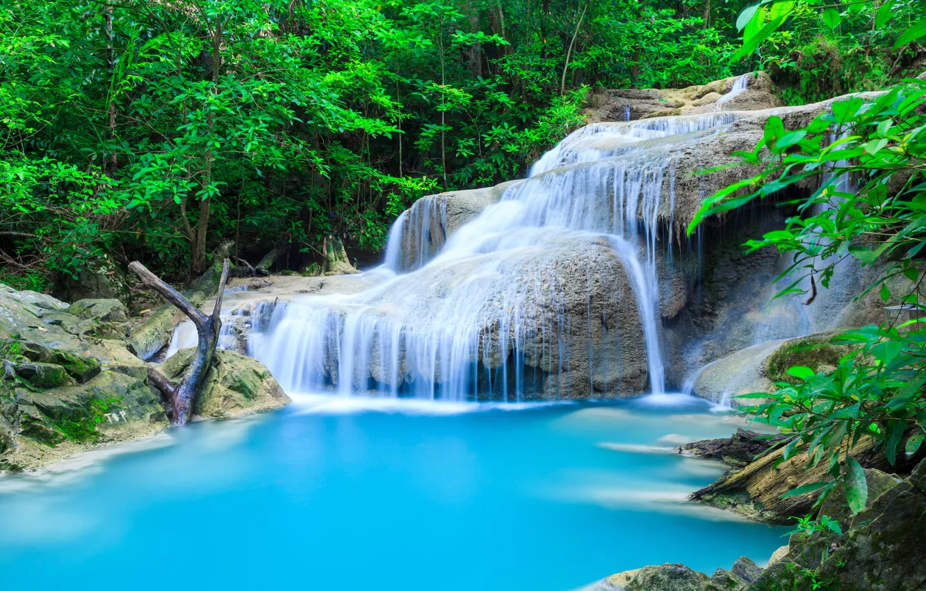 Photo wallpaper greens, forest, nature, lake, stones, rocks, shore, foliage