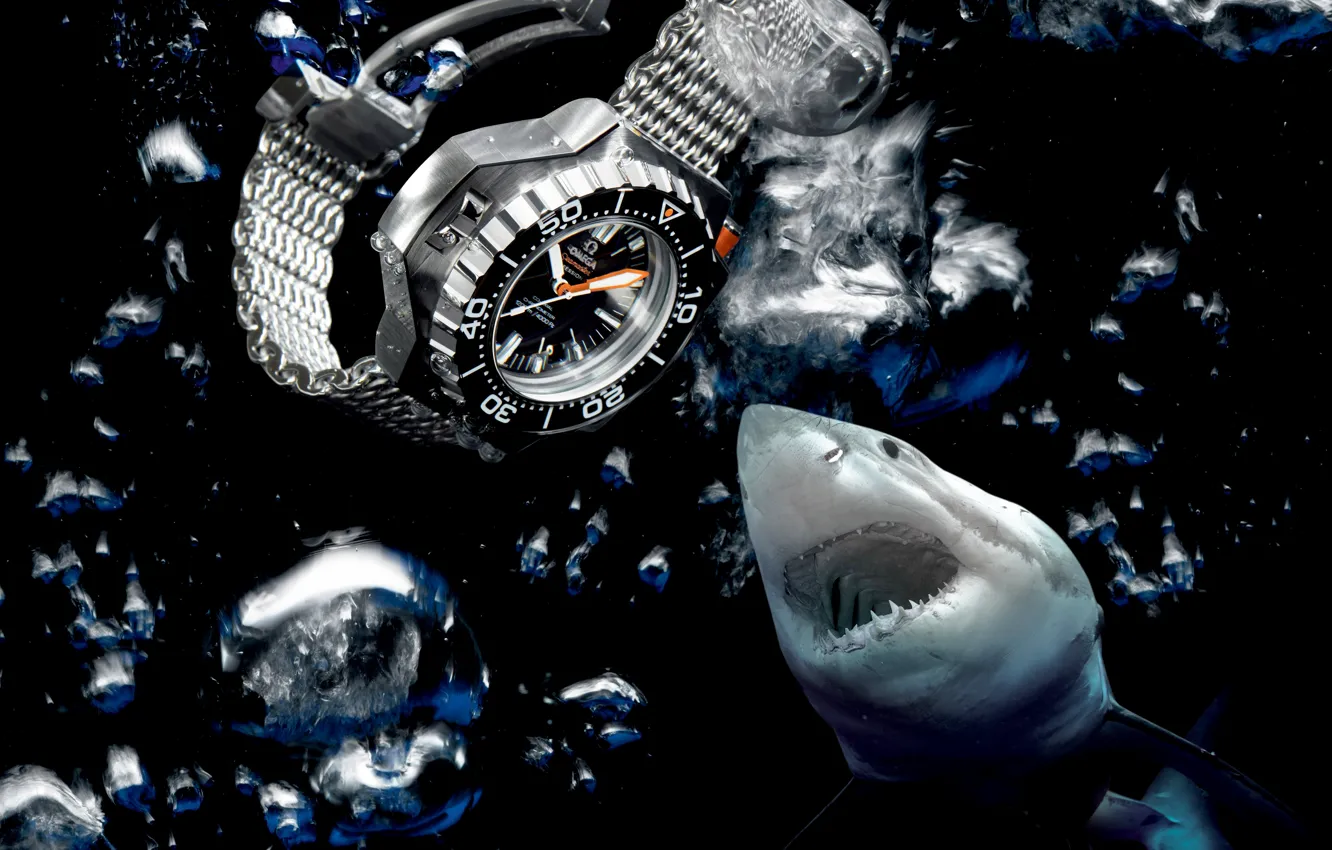 Photo wallpaper water, shark, Watch, Omega, Seamaster, 1200M, Ploprof