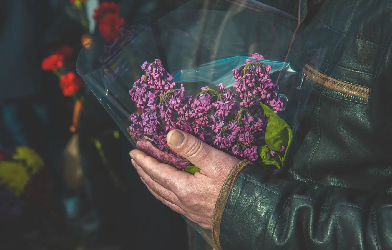 Photo wallpaper flowers, victory day, May 9, clove