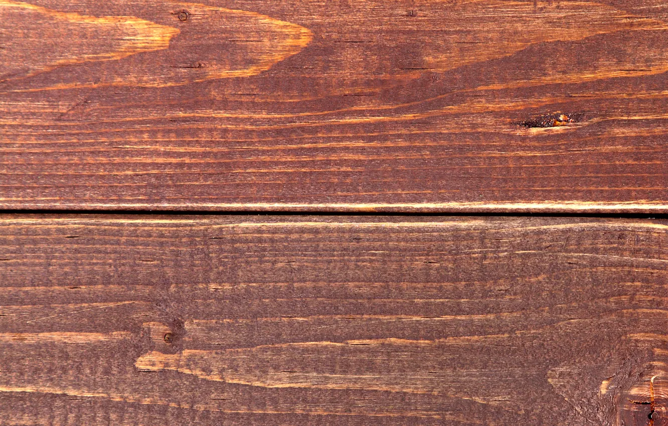 Photo wallpaper trees, Board, color, structure