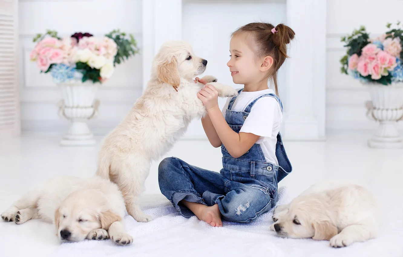 Photo wallpaper joy, room, girl, puppy, Retriever