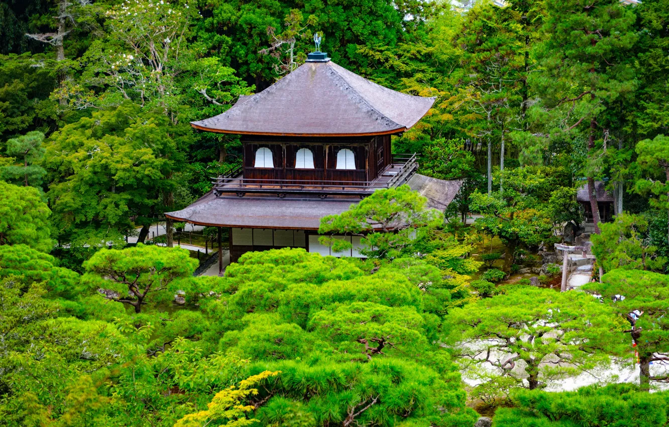 Photo wallpaper greens, trees, branches, Park, stones, Japan, pagoda, Kyoto