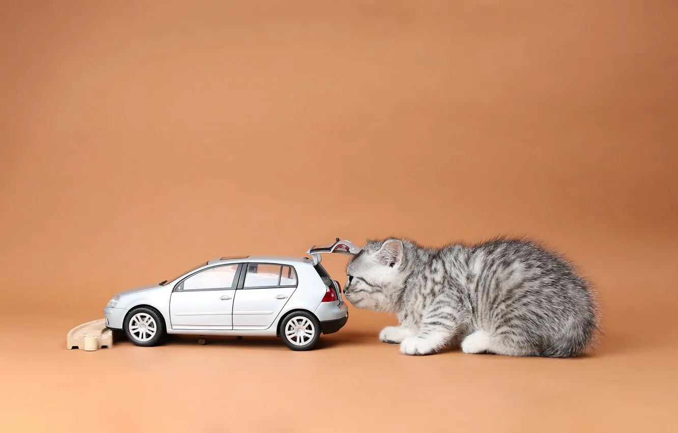 Photo wallpaper machine, cat, toy, kitty, machine, British