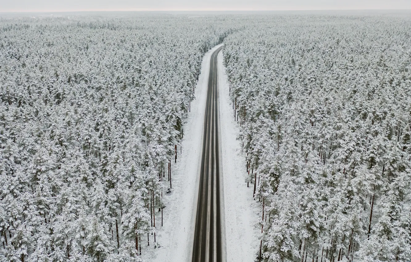 Photo wallpaper winter, road, forest