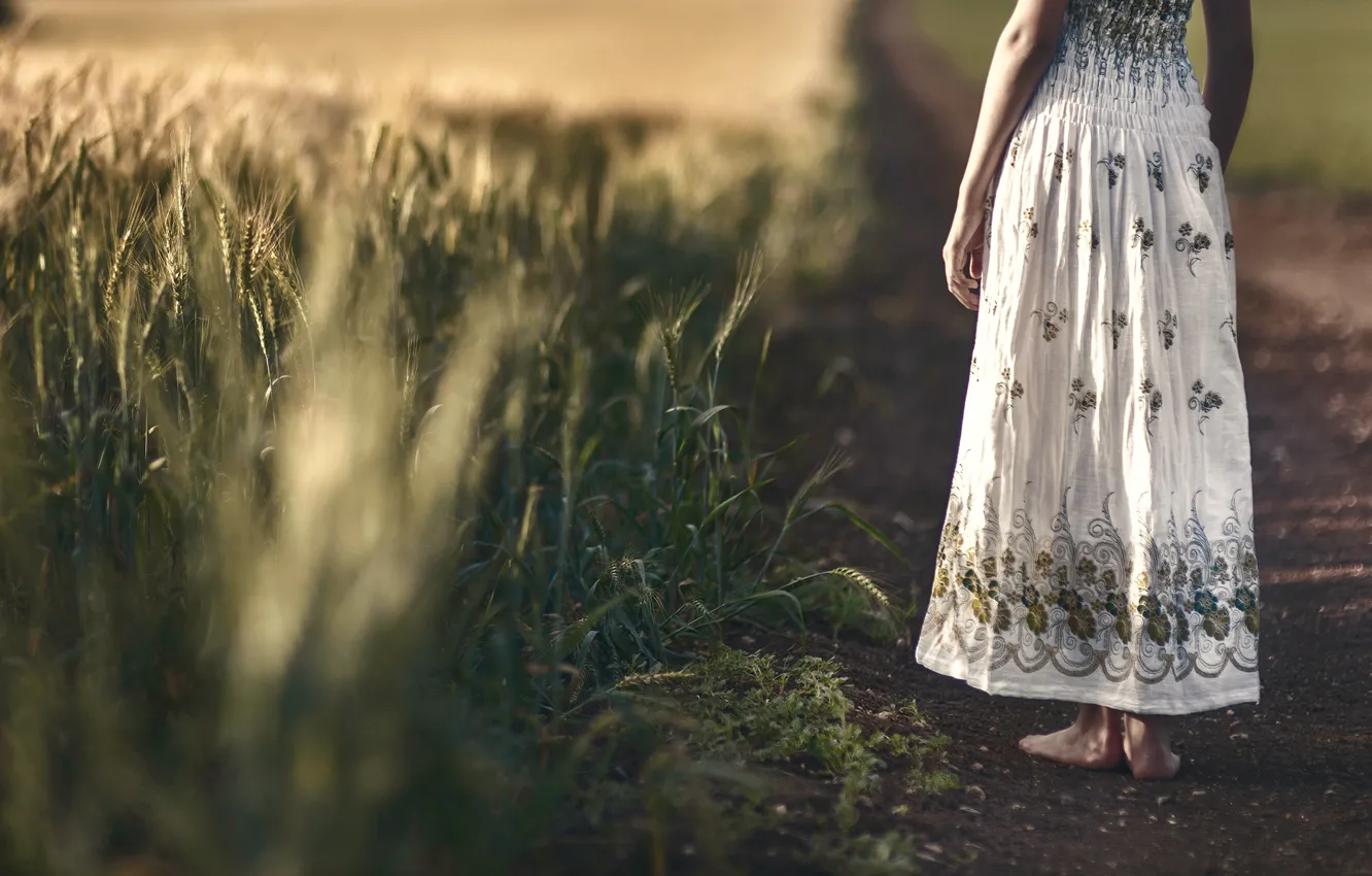 Photo wallpaper field, girl, dress, ears