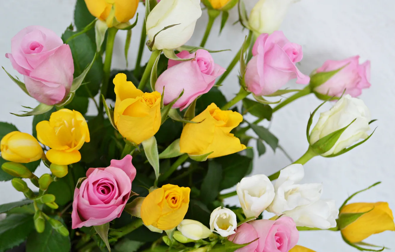 Photo wallpaper roses, bouquet, petals, Bud