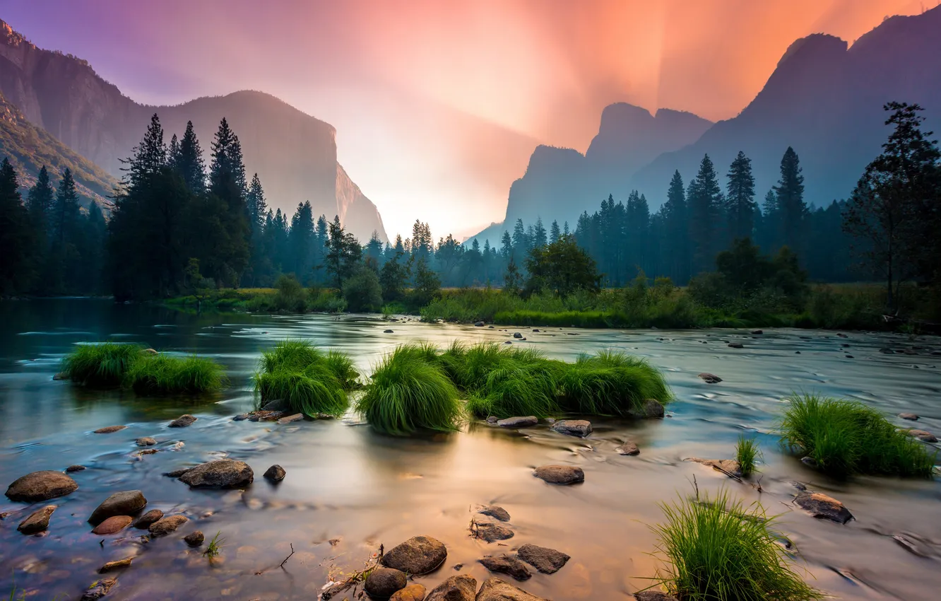Photo wallpaper forest, the sky, trees, sunset, mountains, rocks, USA, river