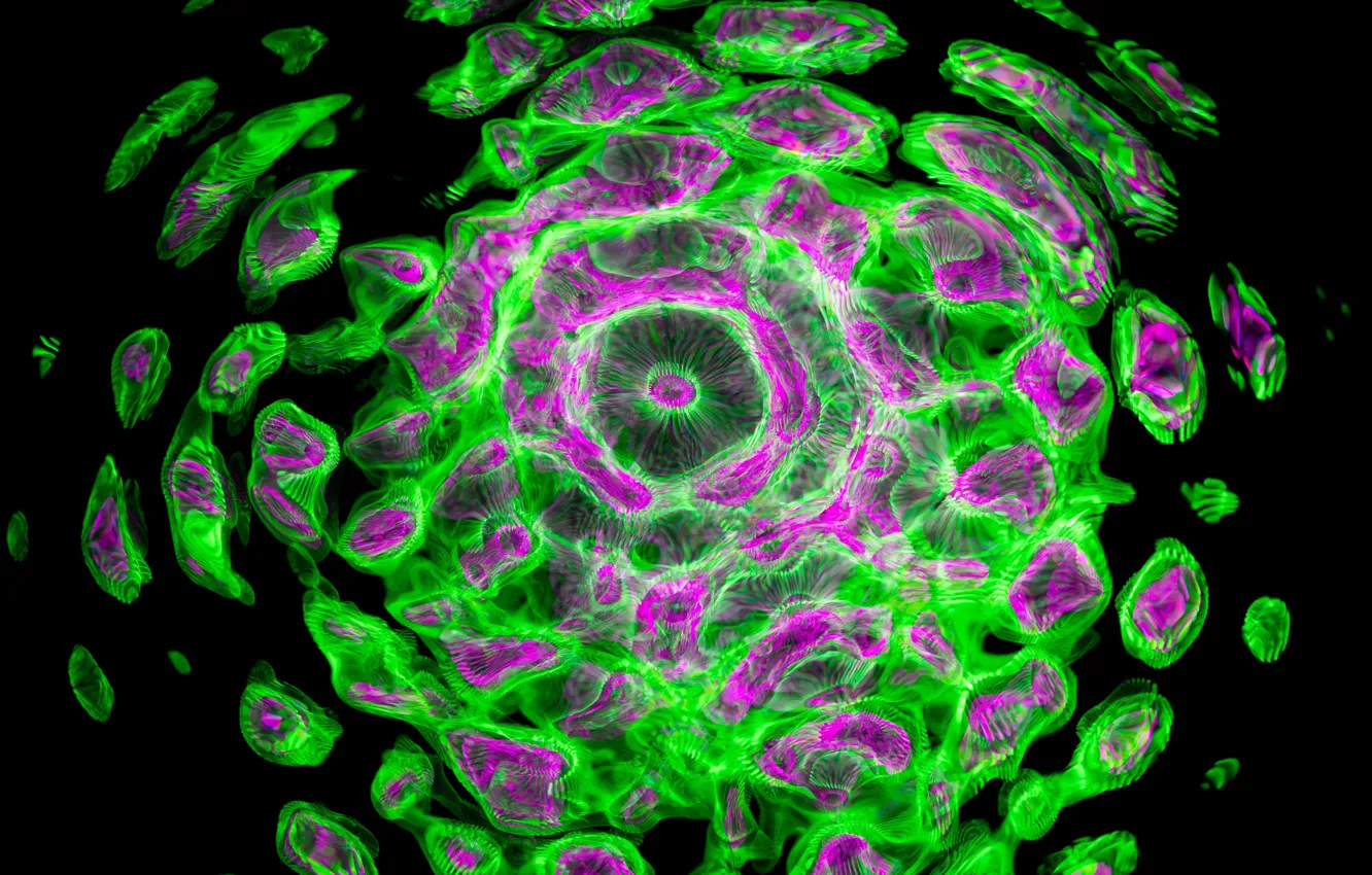 Photo wallpaper abstraction, green, divorce, abstract background