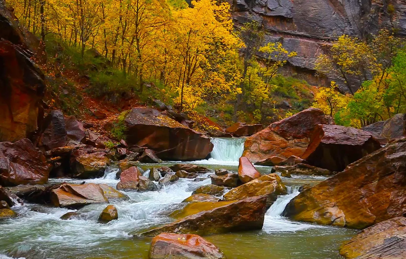Photo wallpaper autumn, trees, stones, rocks, Utah, USA, Zion Canyon, river Virgo