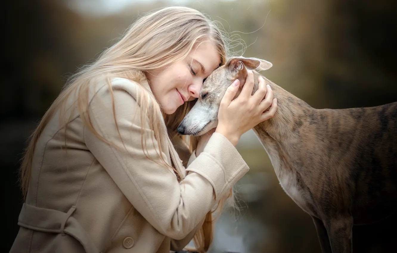 Photo wallpaper girl, mood, dog