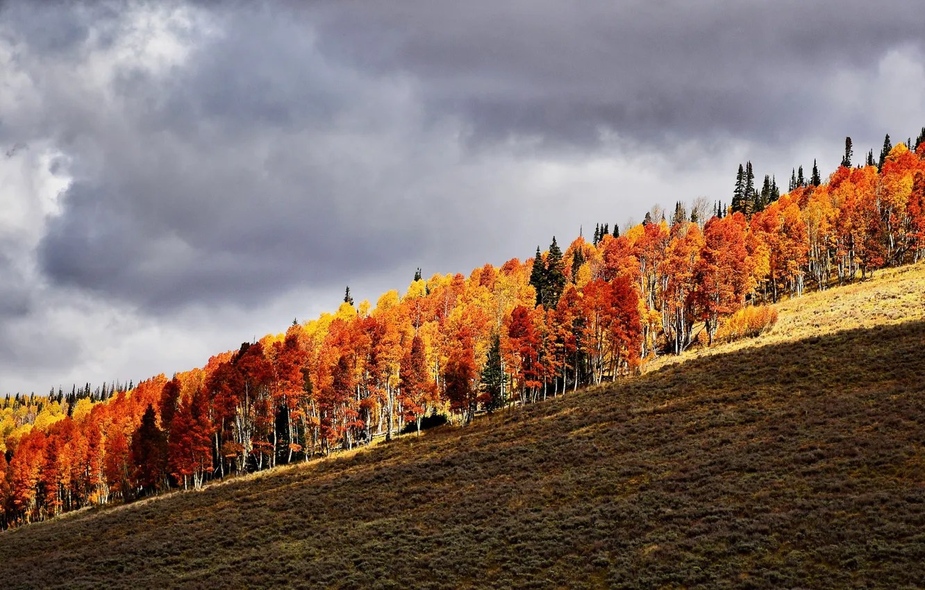Photo wallpaper autumn, hill, orange, autumn colors, sunlight, countryside, shadow, fall