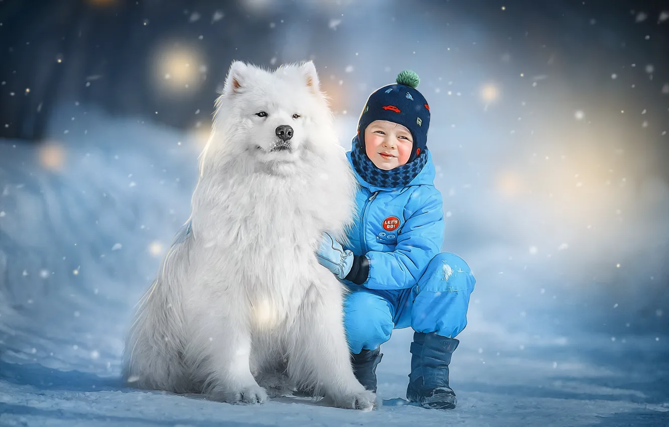 Photo wallpaper winter, snow, animal, dog, boy, child, dog, Samoyed