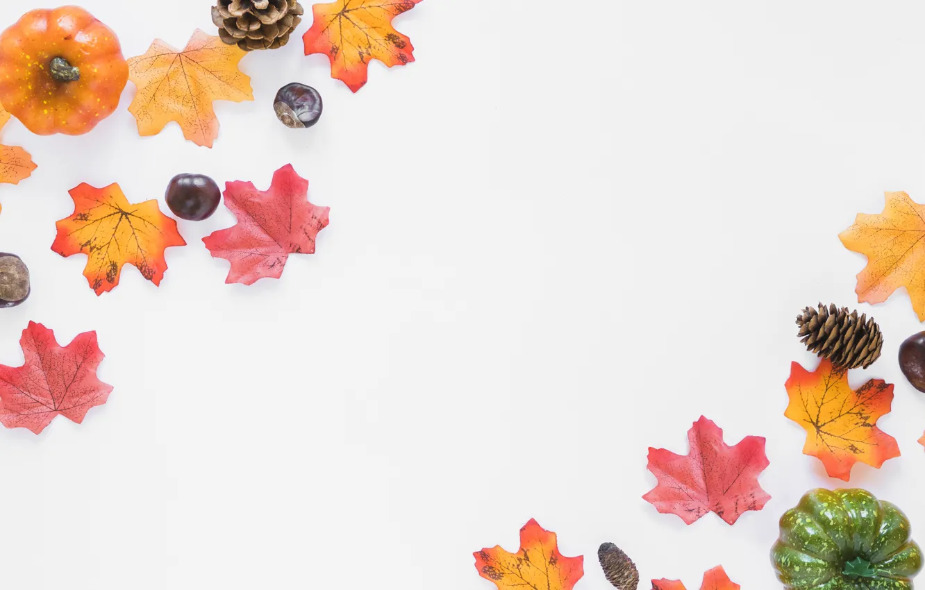 Photo wallpaper autumn, leaves, background, Board, colorful, pumpkin, maple, wood