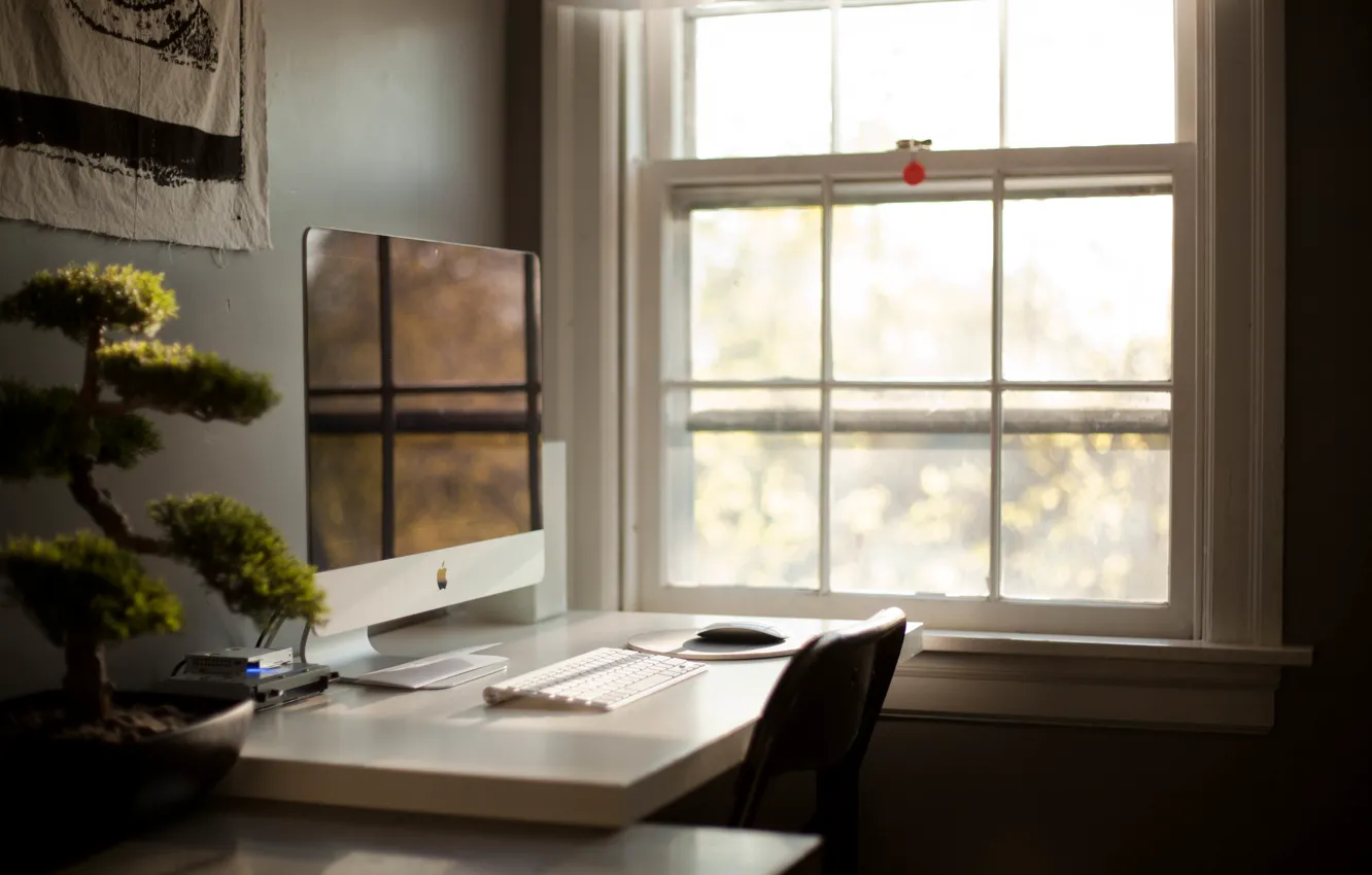 Photo wallpaper table, room, bonsai, plant, apple, window, Apple, monoblock