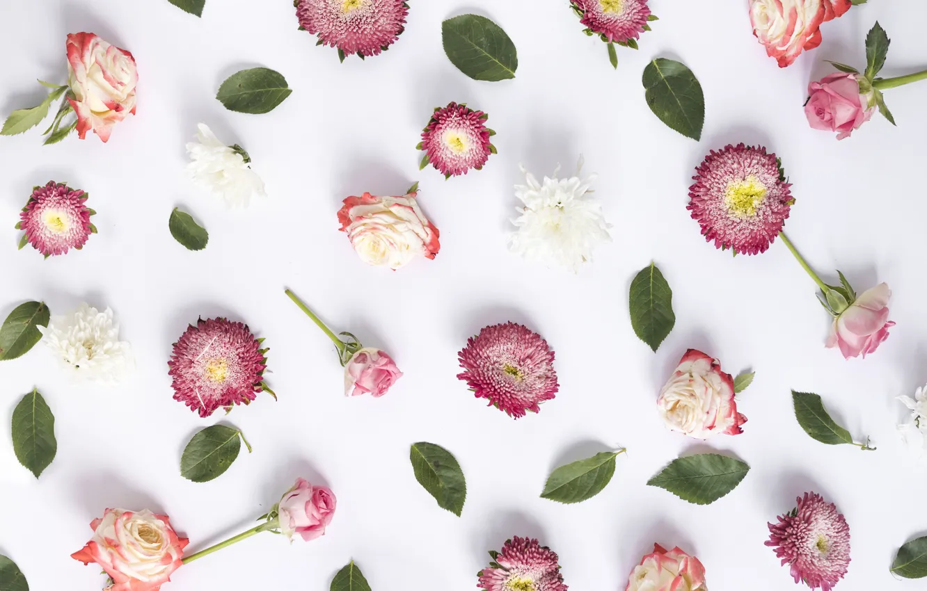 Photo wallpaper flowers, background, roses, pink, buds, pink, flowers, background