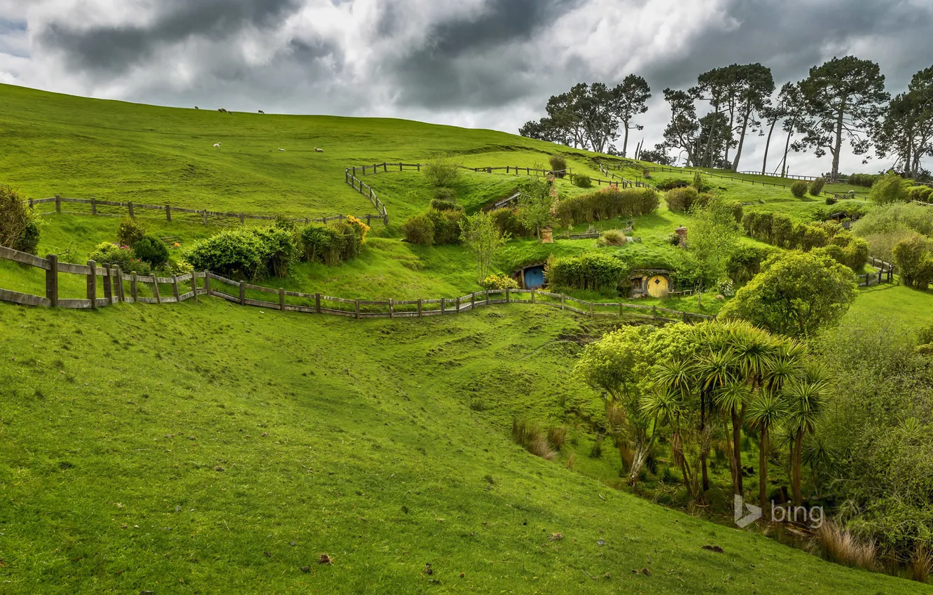 Photo wallpaper grass, trees, the fence, slope, New Zealand, North island, Matamata
