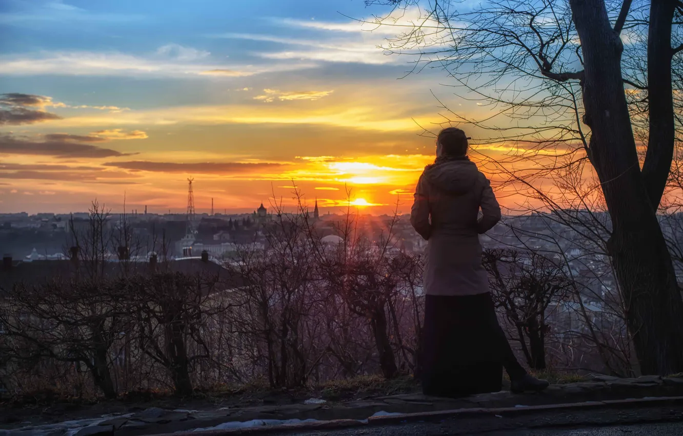 Photo wallpaper girl, the sun, sunset, the city, view, Lions